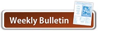 bulletin