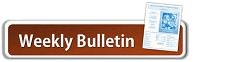 bulletin